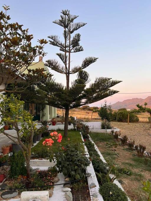 Borgo Majoca - Μονοκατοικία σε κυκλαδίτικο νησί Μέση Εξωτερικό φωτογραφία